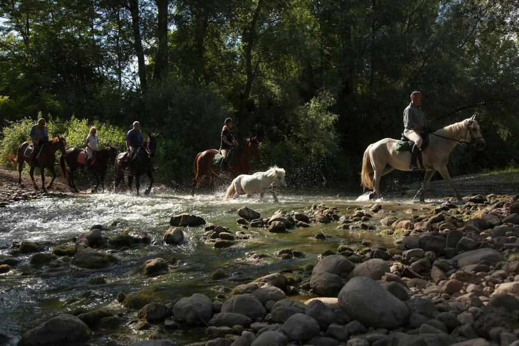 La Casella Antico Feudo Di Campagna Ficulle Εξωτερικό φωτογραφία