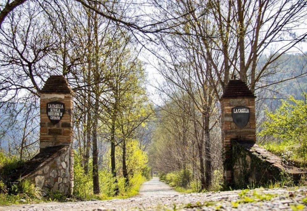 La Casella Antico Feudo Di Campagna Ficulle Εξωτερικό φωτογραφία