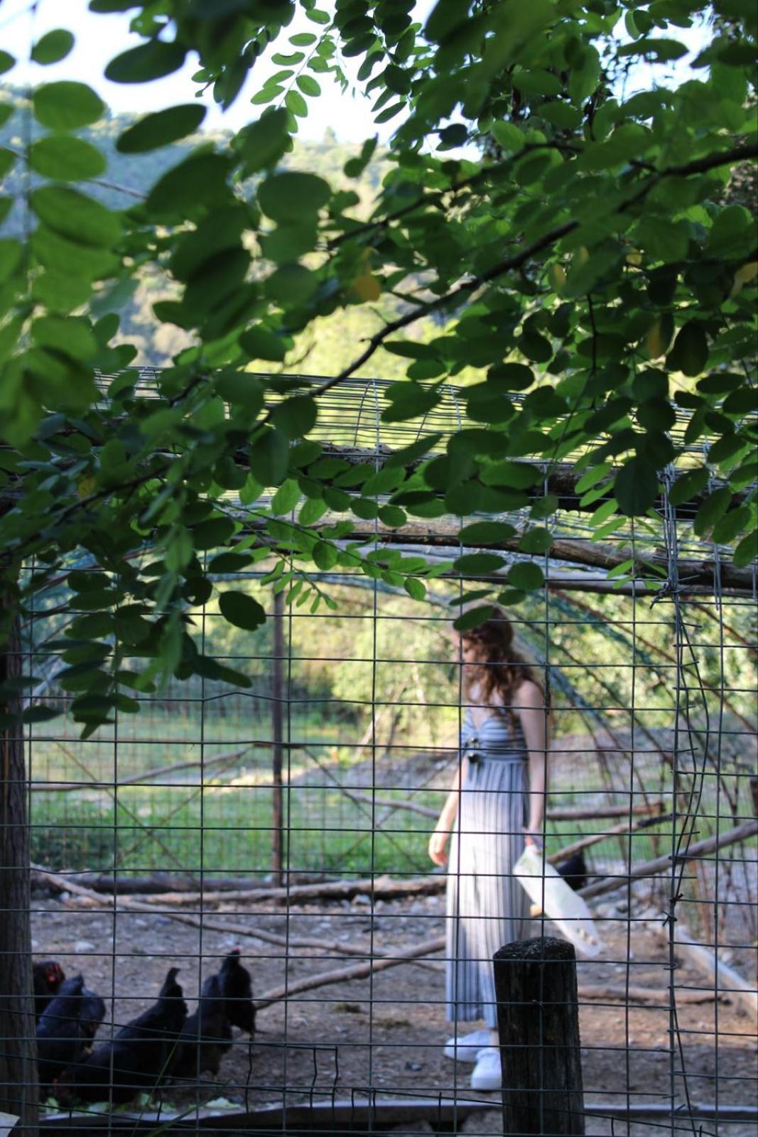 La Casella Antico Feudo Di Campagna Ficulle Εξωτερικό φωτογραφία