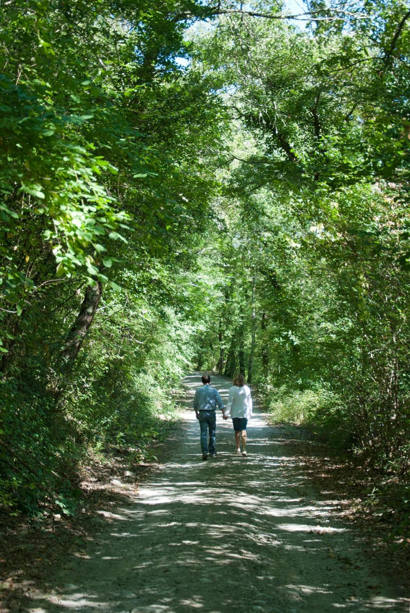 La Casella Antico Feudo Di Campagna Ficulle Εξωτερικό φωτογραφία