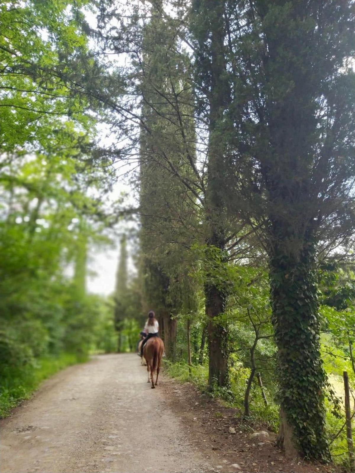 La Casella Antico Feudo Di Campagna Ficulle Εξωτερικό φωτογραφία