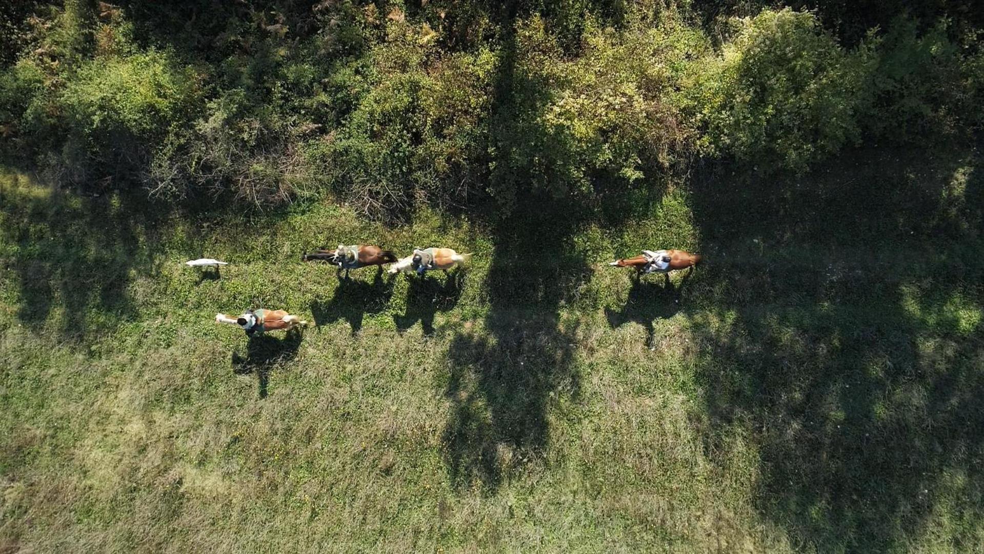 La Casella Antico Feudo Di Campagna Ficulle Εξωτερικό φωτογραφία