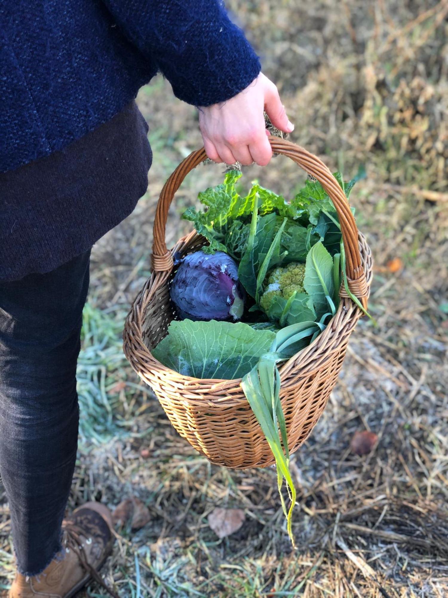 La Casella Antico Feudo Di Campagna Ficulle Εξωτερικό φωτογραφία