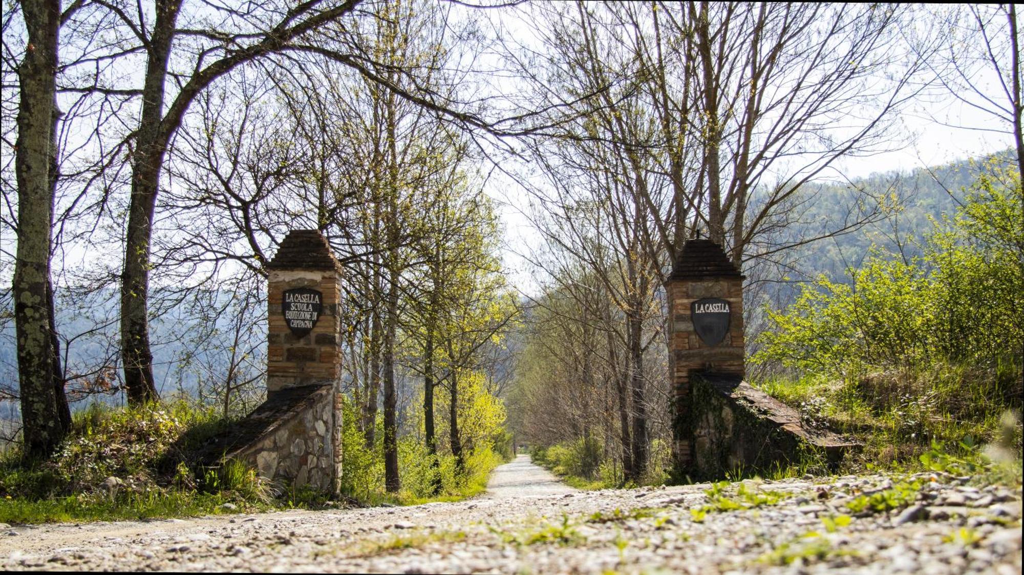 La Casella Antico Feudo Di Campagna Ficulle Εξωτερικό φωτογραφία